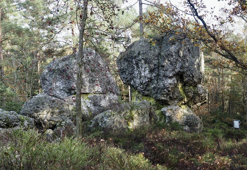 PA290877.jpg