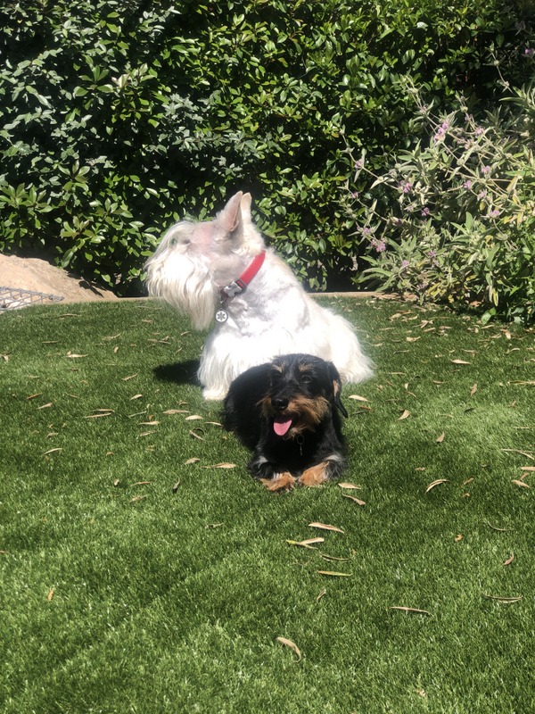 [Image: IMG-9836-1.jpg]