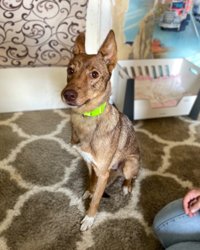 B1826F85-DAAF-4472-9E16-E27AADDCAD17