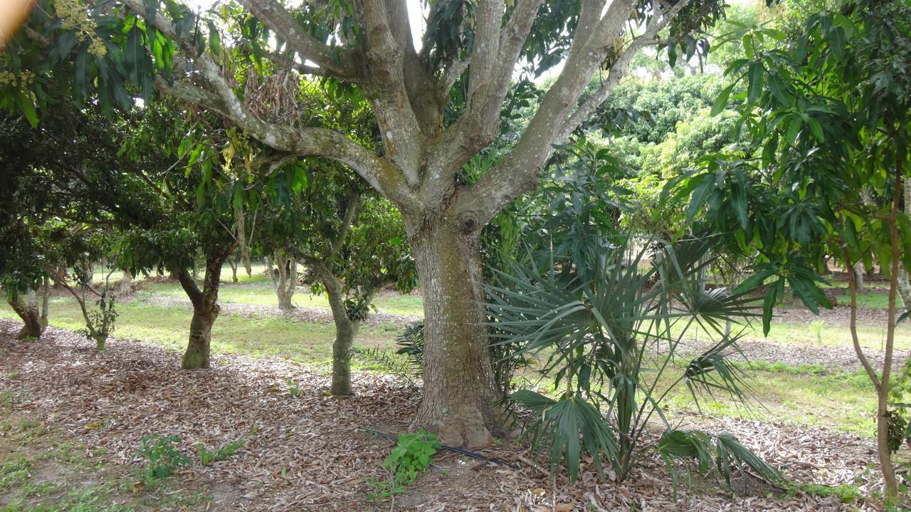 DSC01872