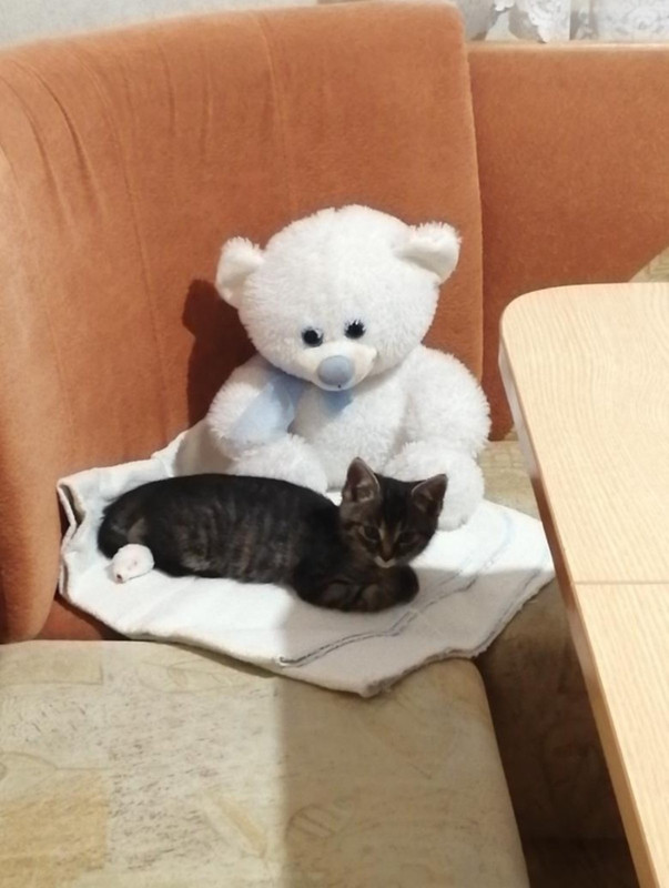 D3DC722C-6EEA-4DBC-8A3D-8C69CC582AAD