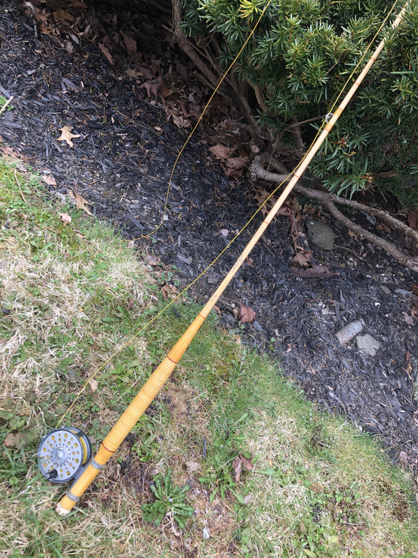 31379152-F842-419C-A8A1-2B2AFD8AF5D9