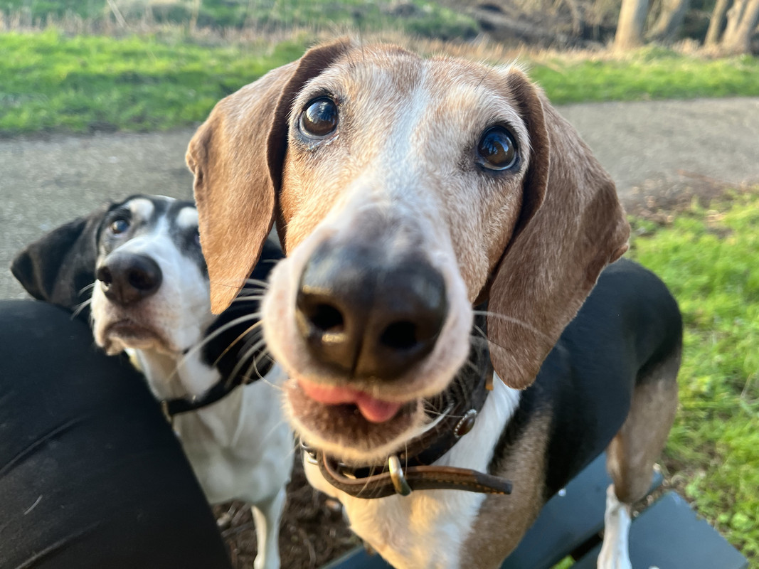 DA4D4EAE-4AB5-46B8-BF95-50E44B7931E8