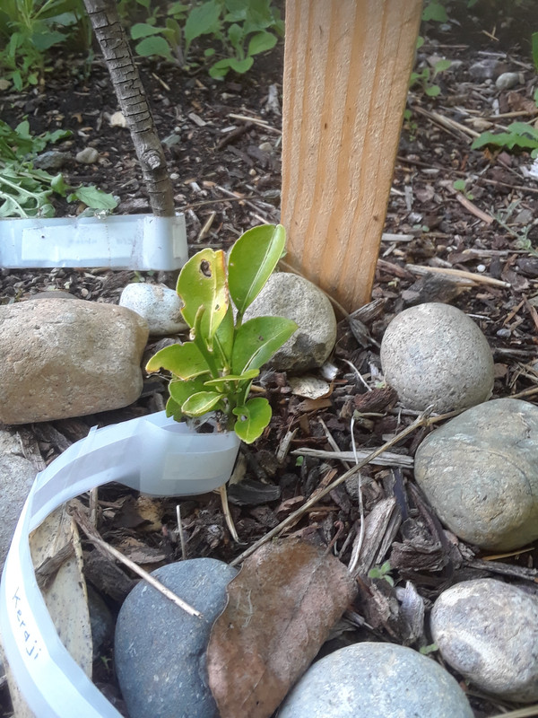 20200515_183743