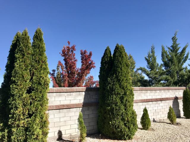 [Image: F3-B90245-9-E96-4-D64-B3-C0-084090-E87828.jpg]