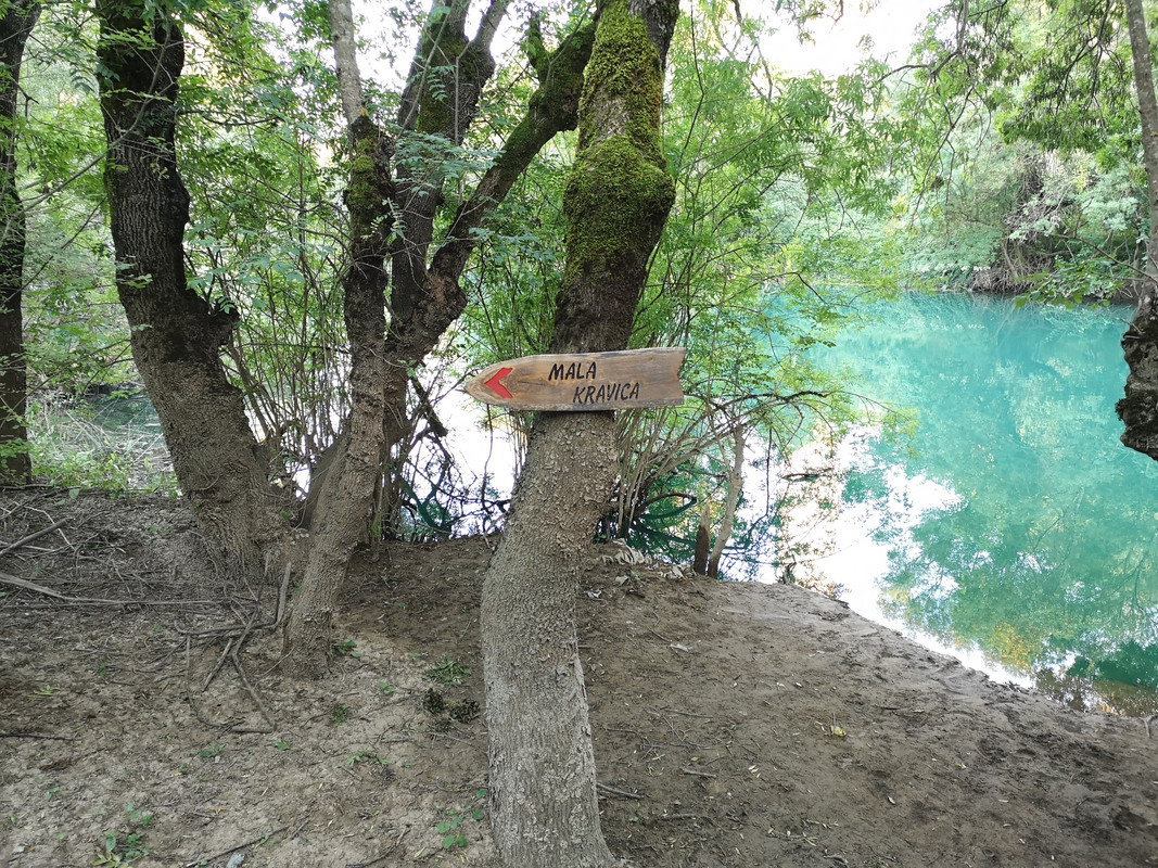 [Obrazek: IMG-20190805-194129.jpg]