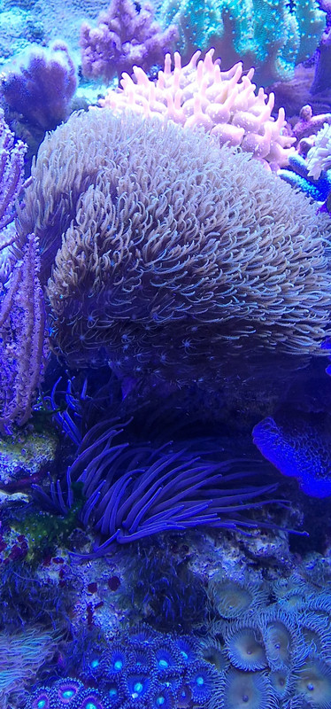 WhatsApp Image 2025-05-18 at 17.43.45 (1)