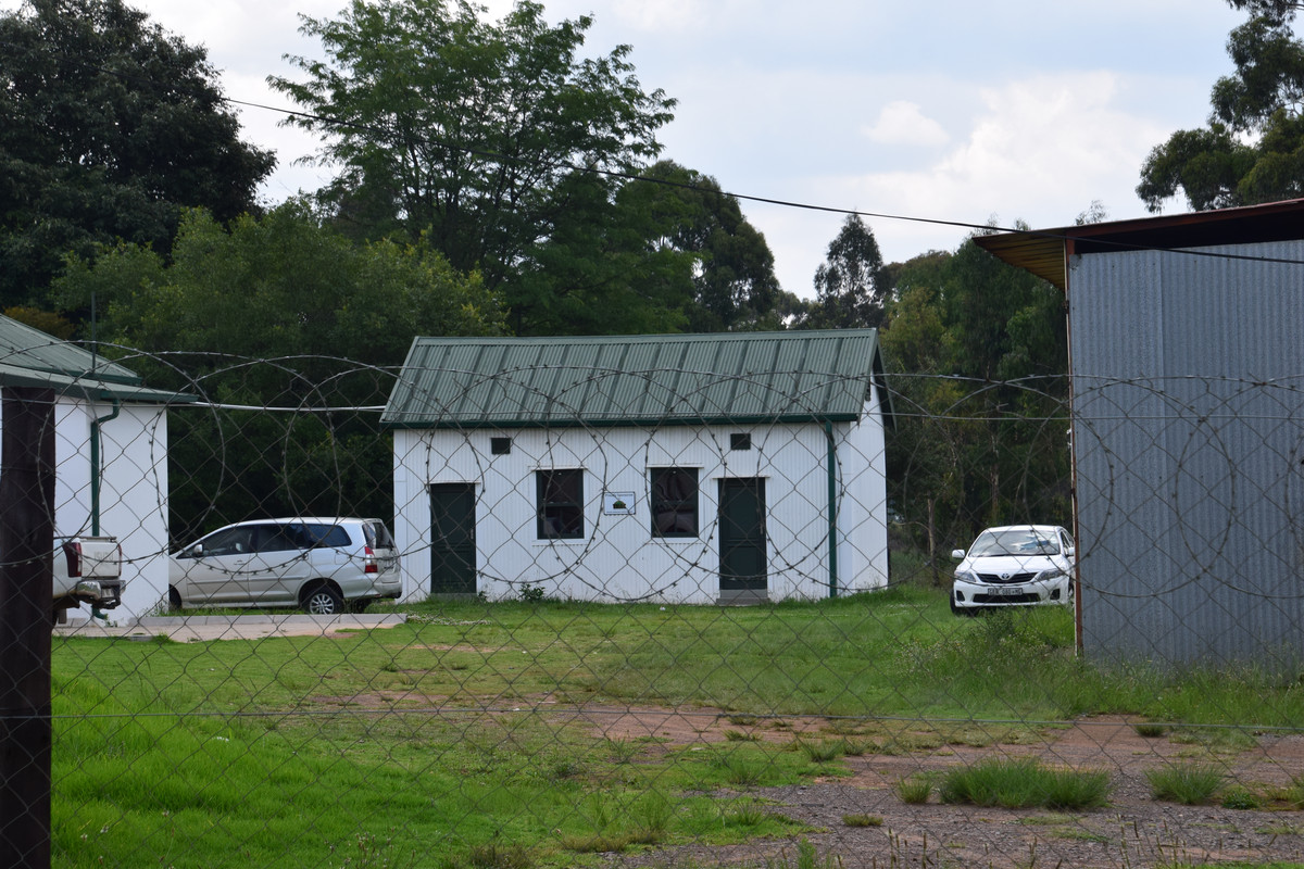 DSC_0355