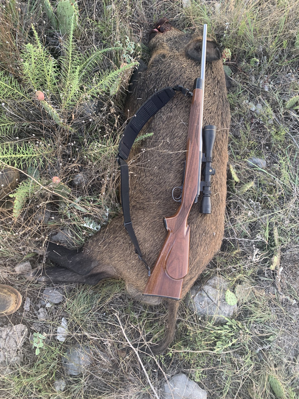 FACD72C3-07B0-48F1-B85C-935C4F5498D2