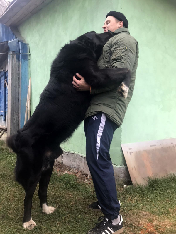 изображение_viber_2019-11-16_22-25-52