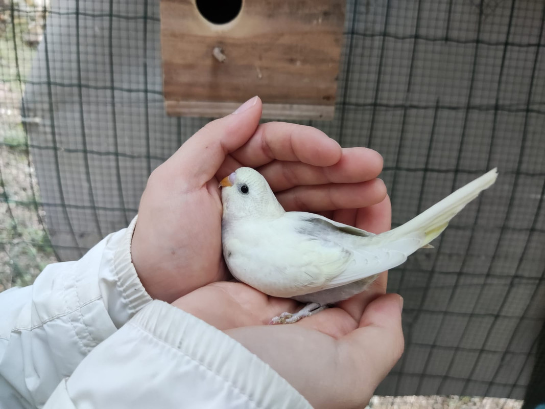 ABA804B5-01E4-4949-8804-7EE01C1FE190