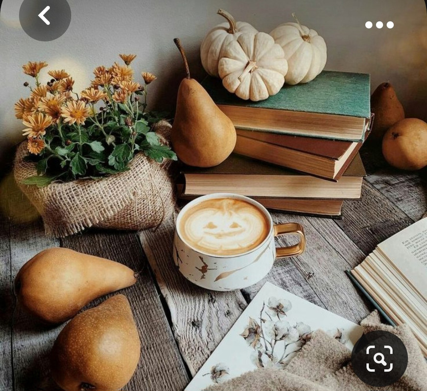 Screenshot_20231031_215559_Pinterest