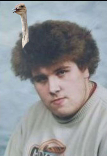 GJ1BZkq-XEAASEVz.png