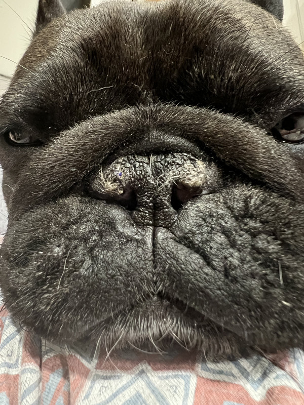 C755D47C-14A7-4287-8EA0-497E38D9A9A8