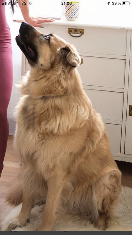 IMG-b43252ea21aba9e4deef7d88dcf6756b-V