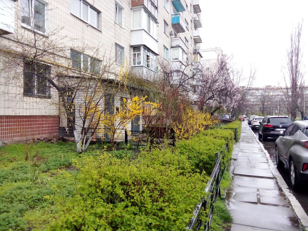 photo_2025-04-01 8.18.12 пп