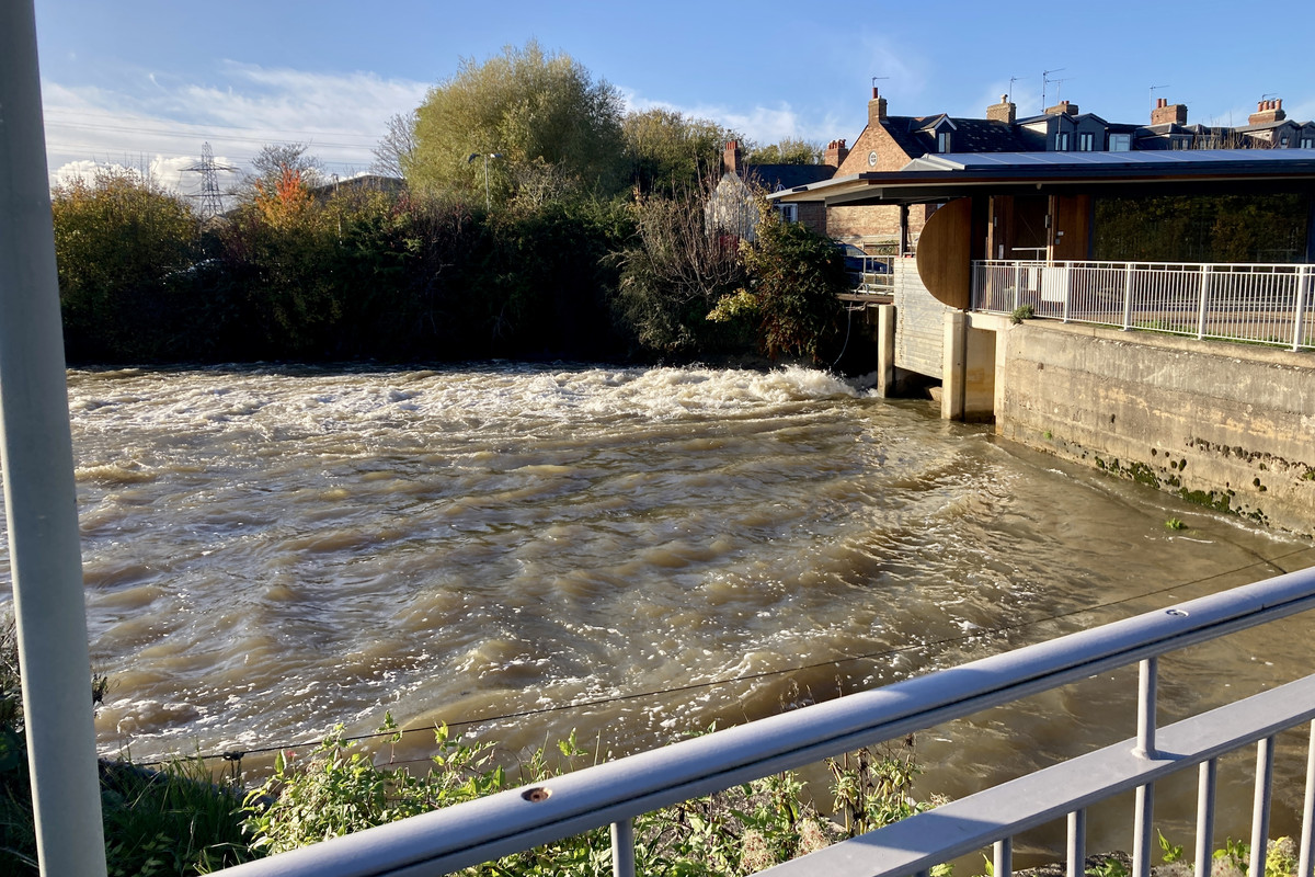 D0F29E9F-0C08-4BD0-9A79-2DD6FBC9EE17