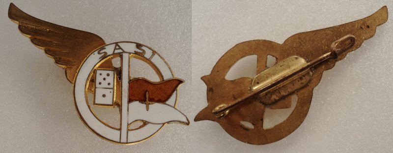 Identification insigne. Secteur-Air-51-SF-NH