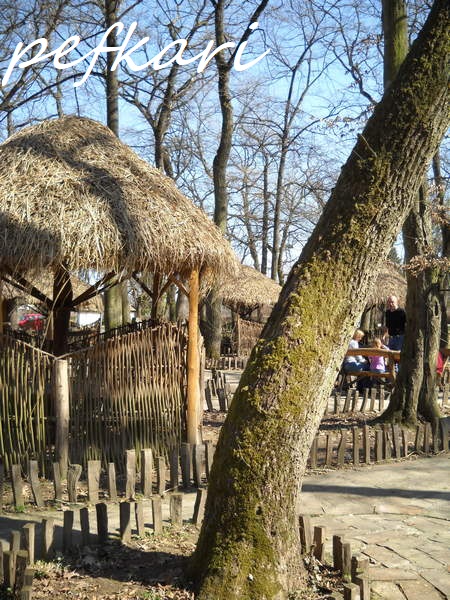 Slika