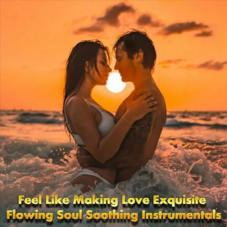VA - Feel Like Making Love: Exquisite Flowing Soul Soothing Instrumentals (2022)