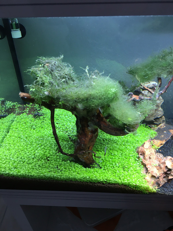 D9288188-DB5D-443F-BD0F-853D4CB60CCD