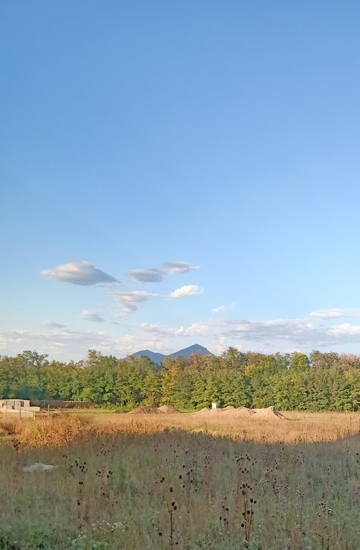 IMG-20210920-170929.jpg