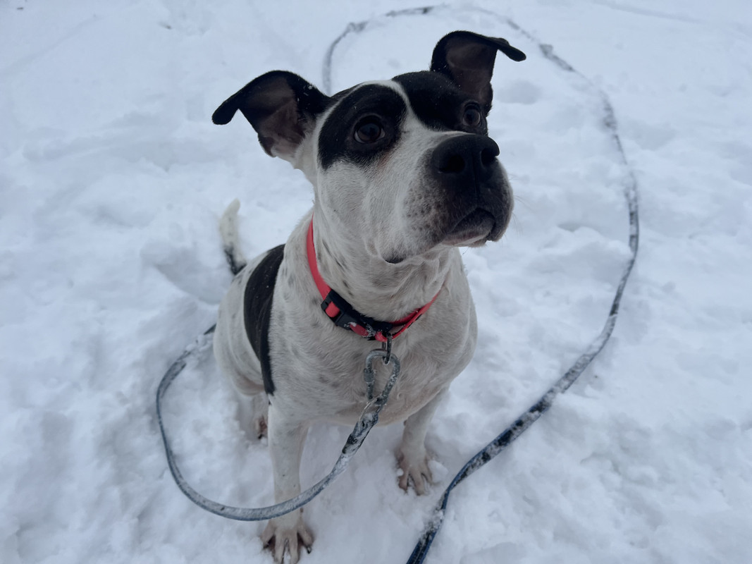 550A7251-EA53-4A85-93A6-BCB424512328