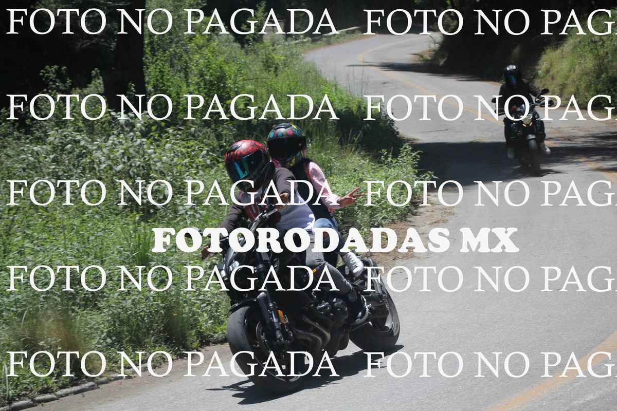 IMG 0865 — Postimages
