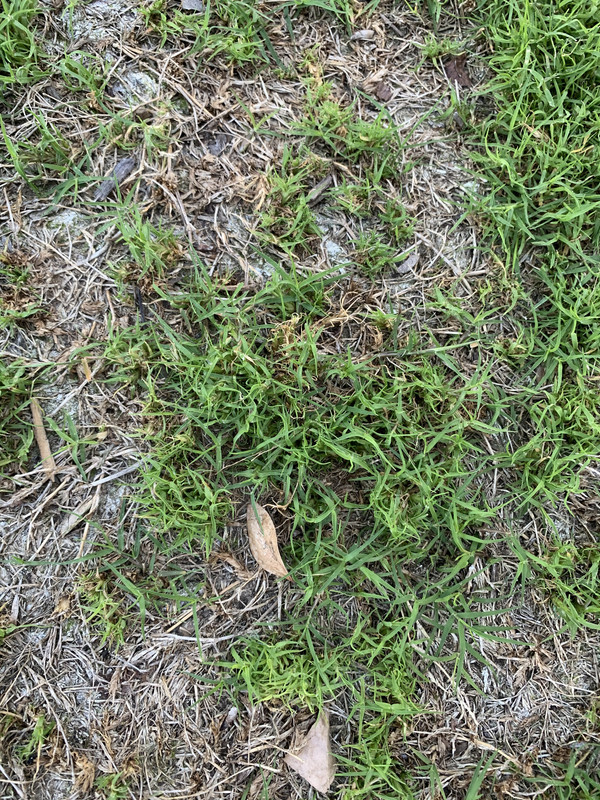 5C8982BC-DCA7-45B0-9290-DB902B4CFE01