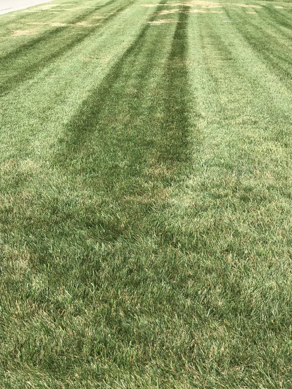 56C692AD-BE56-42D2-A371-9095E252D9C5