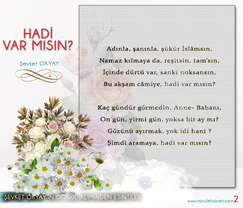 hadi-var-misin-sevket-okyay-2.png