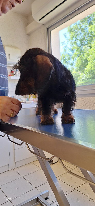 [Image: 20250708-175540.jpg]