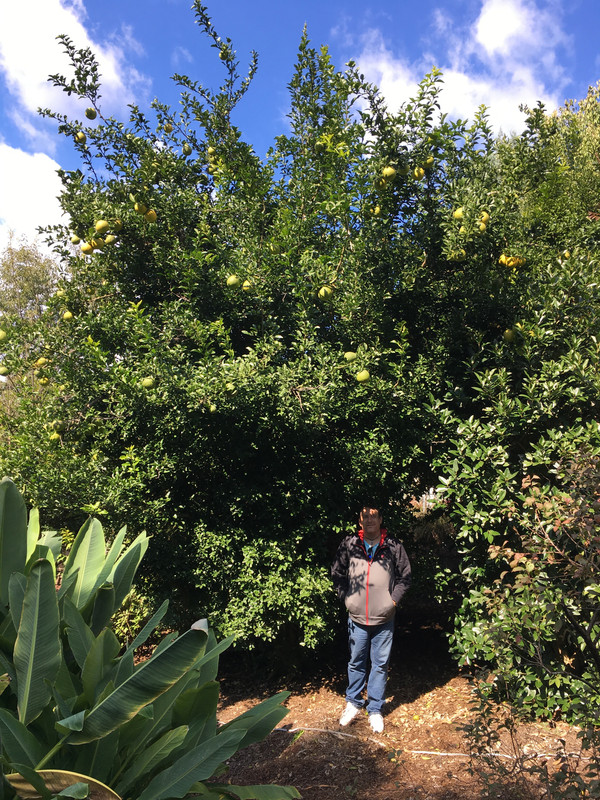 A4D1F3E2-C14E-4560-B84C-5BA53D2FA859