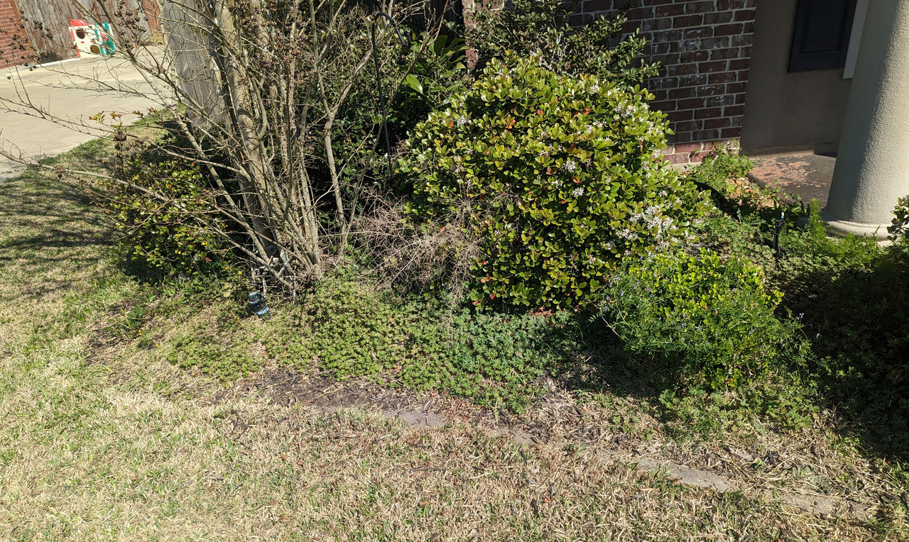 PXL_20230305_163513957