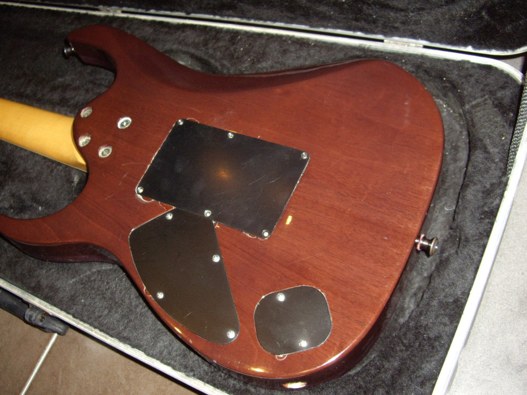 IMGP1283