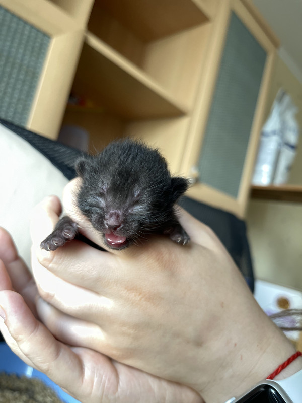 7AEB5587-8663-4FED-B59F-AF1BE8980930