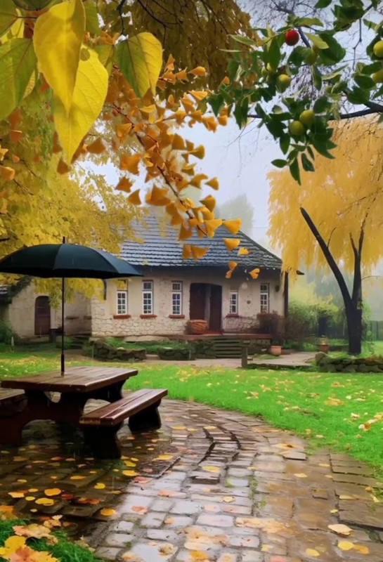 Screenshot_20231127_215902_Pinterest