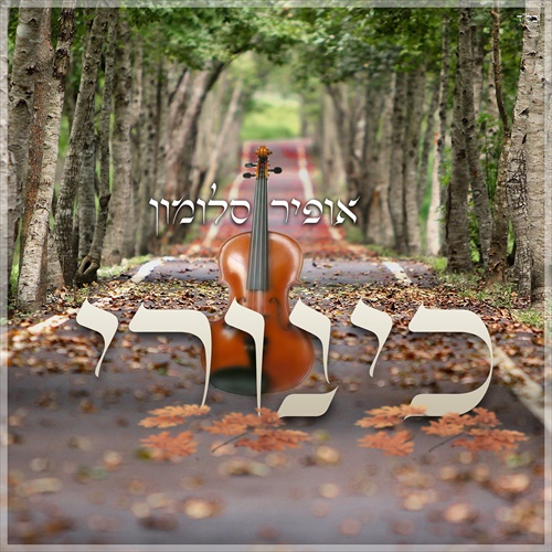 תמונה
