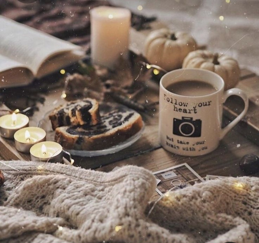 Screenshot_20231031_215446_Pinterest