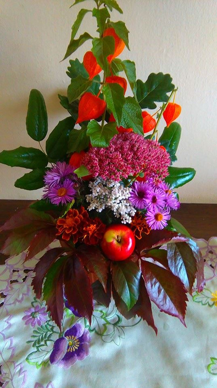 c03afab54002887e7e1d27a1069e206c560e334a53526