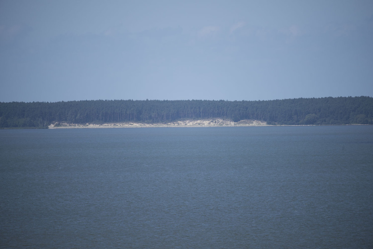 29.15 - NEW_9801 (Konfiturek)