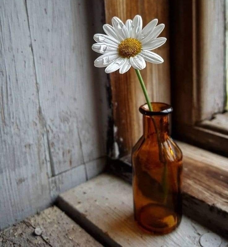 334426474_166310526176184_3090768052119408375_n