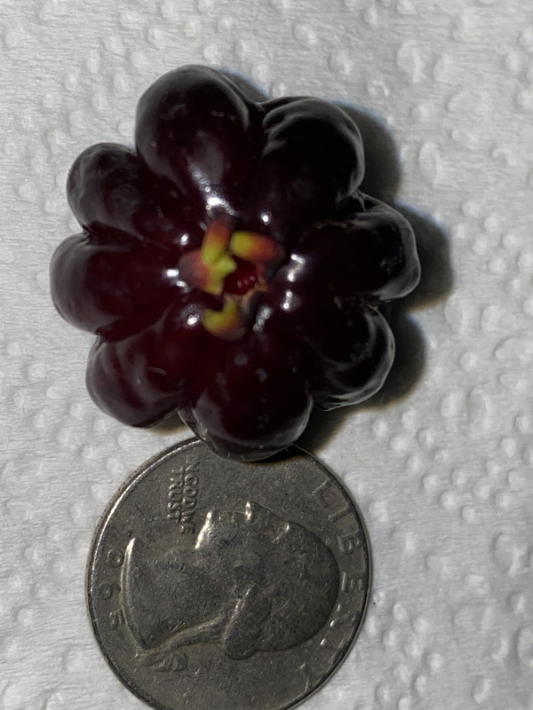 F5CD0E46-E26F-4D8A-9EB3-7111A706F05F