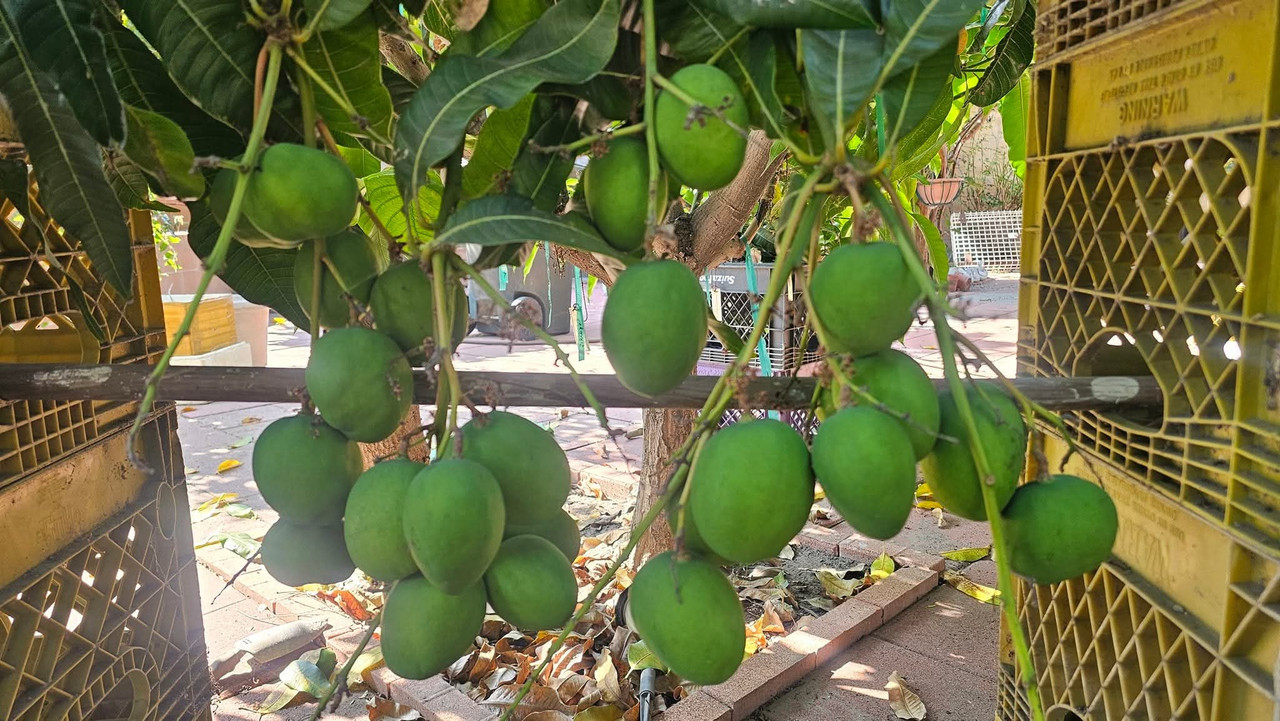 FB IMG 1755023289603