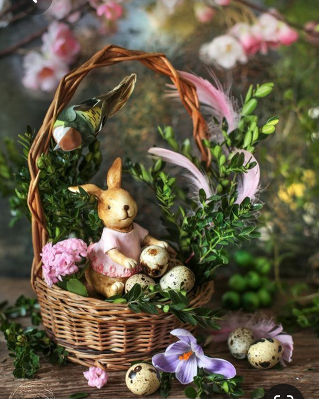 Screenshot_20230405_225808_Pinterest