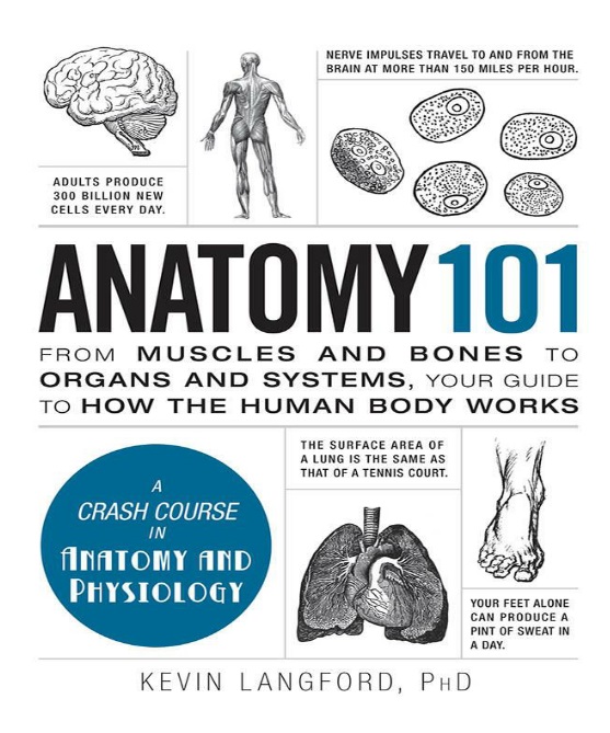 Anatomy 101: From Muscles and Bones to Organs and Systems, Your Guide to How the Human Body Works