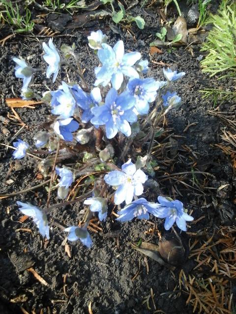20190326_154935