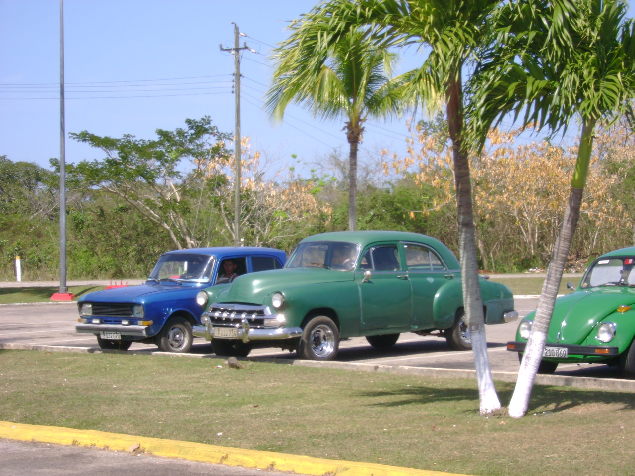 DSC07120