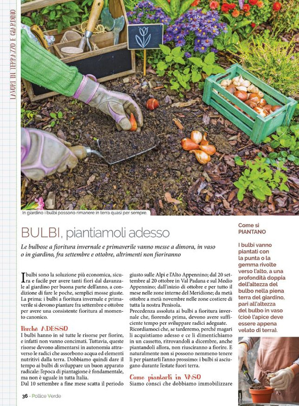 Pol Ver Set 2021 (5)