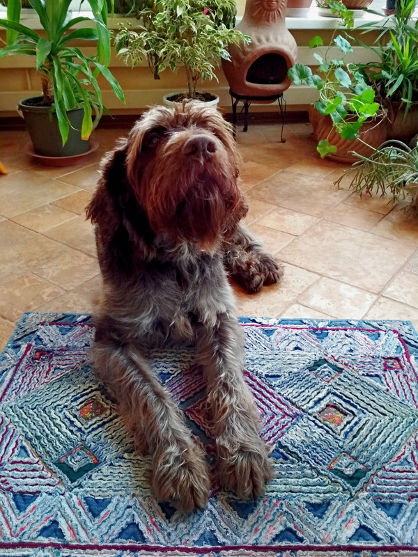 IMG_20210107_143727_обработано